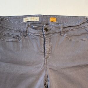 Pilcro Gray Serif Jeans 30 with leg zipper designs